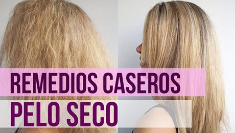 Tratamientos para el cabello seco y maltratado