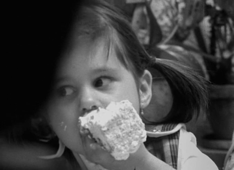 Családi tüzfészek - 1979