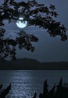 BUSQUÉ UNA MUSA EN EL CIELO...