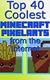 The Top 40 Coolest Minecraft Pixelarts from the Internet: An easy bundle with 40 pictures with pixelart! (English Edition)