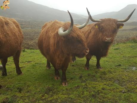 Qué ver en las Highlands, las Tierras Altas de Escocia