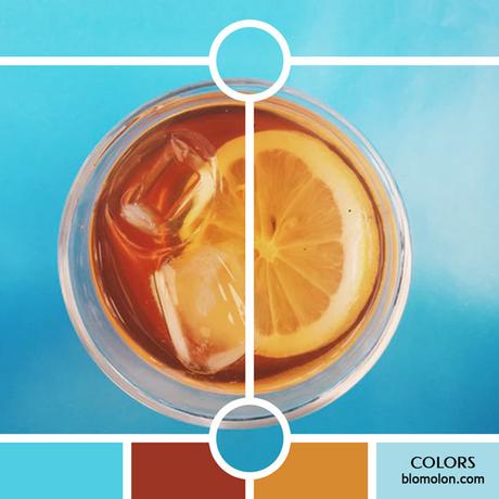 Variedad En Color 11 MoodBoard