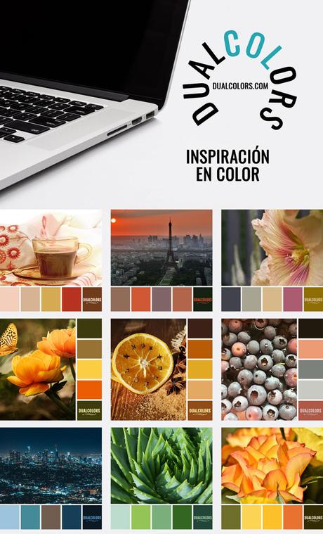 Variedad En Color 11 MoodBoard