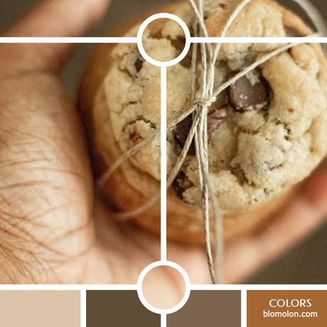 Variedad En Color 11 MoodBoard