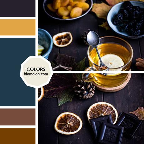 Variedad En Color 11 MoodBoard