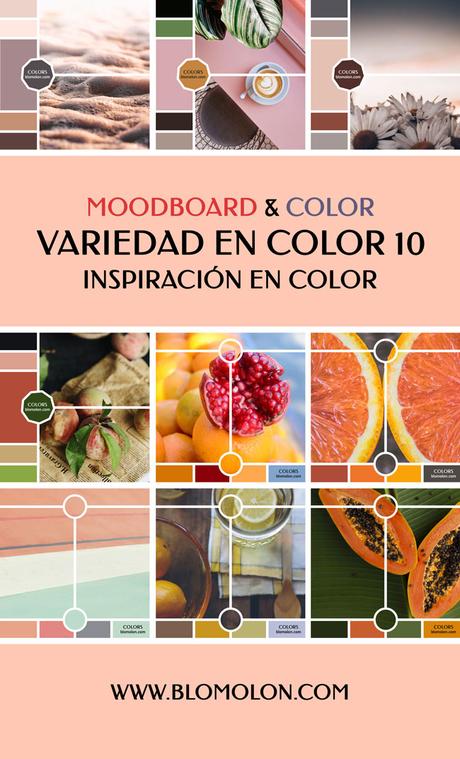 Variedad En Color 11 MoodBoard