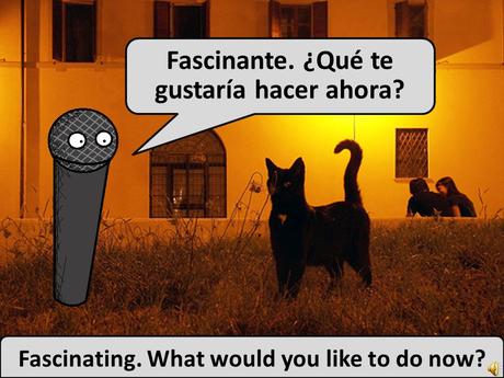 13 El Baile De Salón Es Mi Pasatiempo Favorito Ballroom Dancing Is My Favourite Pastime