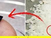 computadora pequeña mundo está aquí basa Blockchain