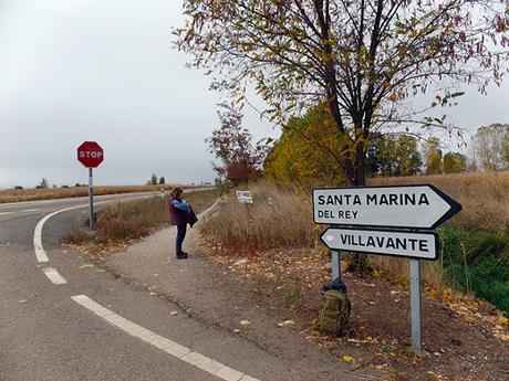 Jornada de limpieza del Camino de Santiago, octubre 2018.