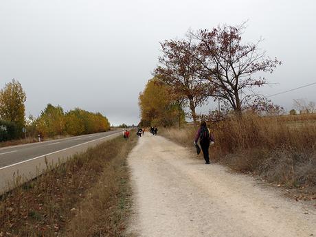 Jornada de limpieza del Camino de Santiago, octubre 2018.