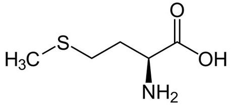 Estructura química de Metionina