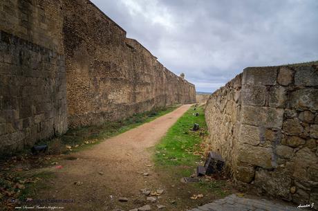 CIUDAD RODRIGO (SALAMANCA)