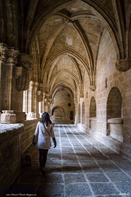 CIUDAD RODRIGO (SALAMANCA)