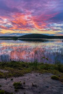 UN DÍA AMANECIÓ...