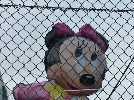 PASEOS EN OTOÑO PASEOS EN OTOÑO