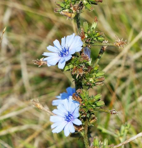 PASEOS EN OTOÑO PASEOS EN OTOÑO