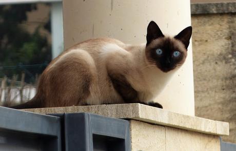 PASEOS EN OTOÑO PASEOS EN OTOÑO