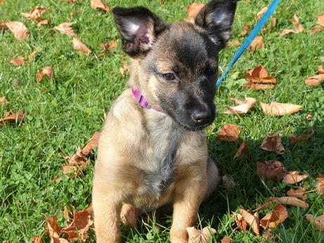 PASEOS EN OTOÑO PASEOS EN OTOÑO