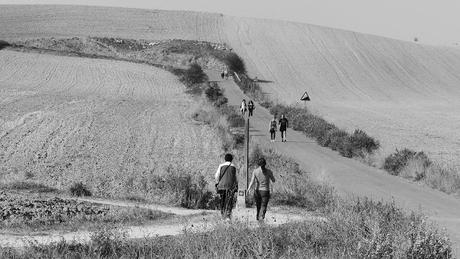 PASEOS EN OTOÑO