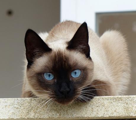 PASEOS EN OTOÑO PASEOS EN OTOÑO