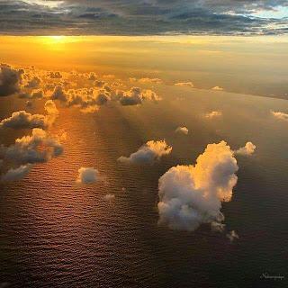 PREGÚNTALE A LAS ESTRELLAS...