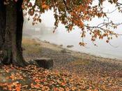 Cambios Estación Están Afectando?