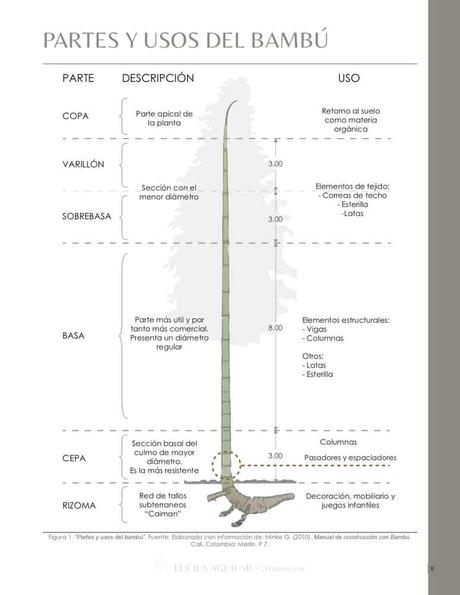 Manual de construcción en Bambú