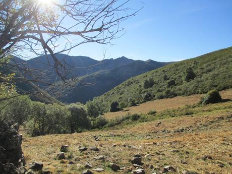 TIERRAS DEL BIERZO: SALENTINOS TIERRAS DEL BIERZO: SALENTINOS