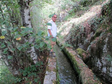 TIERRAS DEL BIERZO: SALENTINOS