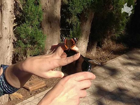 #WeekPic 60 #WeekPic 60