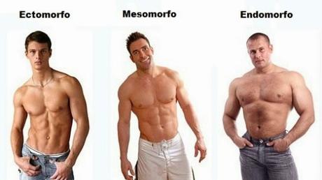 Dieta Para Ectomorfos