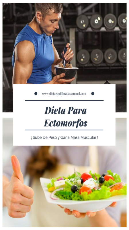 Dieta Para Ectomorfos