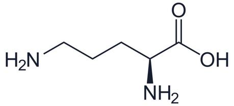 Formulación química de la ornitina