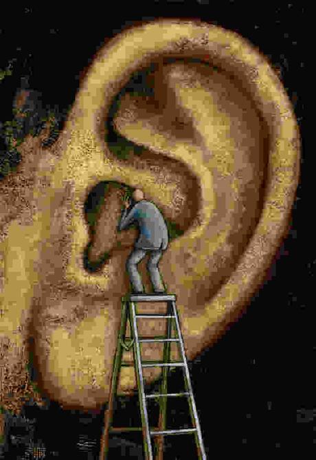 El Sexto Sentido, Intuición Ignorada