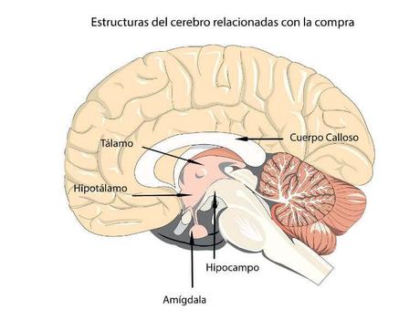 20 estrategias y ejemplos de Neuromarketing que SÍ funcionan