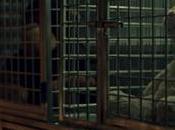 triste historia peluche este anuncio está basada hechos reales