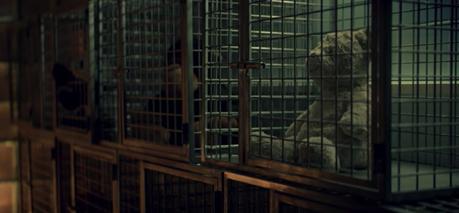 La triste historia del oso de peluche de este anuncio está basada en hechos reales