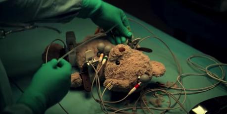 La triste historia del oso de peluche de este anuncio está basada en hechos reales