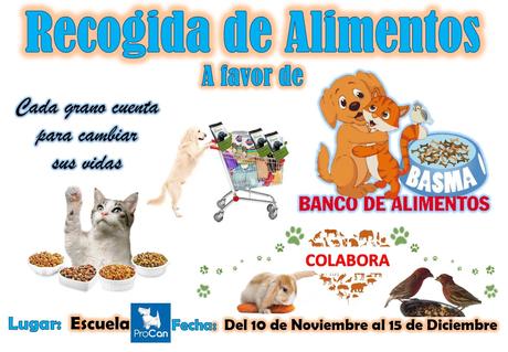 recogida alimentos basma