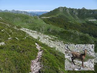 Cofiñal-El Xerru les Planes-El Porrón de Cerrosa-Busumerón-El Páramo