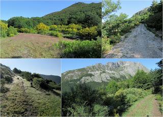 Cofiñal-El Xerru les Planes-El Porrón de Cerrosa-Busumerón-El Páramo