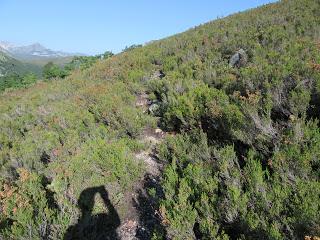 Cofiñal-El Xerru les Planes-El Porrón de Cerrosa-Busumerón-El Páramo