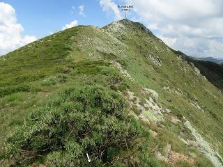 Cofiñal-El Xerru les Planes-El Porrón de Cerrosa-Busumerón-El Páramo