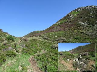 Cofiñal-El Xerru les Planes-El Porrón de Cerrosa-Busumerón-El Páramo