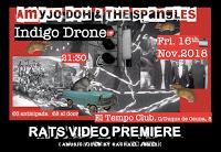 Concierto de AmyJo Doh & The Spangles e Indigo Drone en Tempo Club