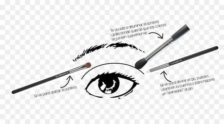 Cómo maquillar con dos sombras