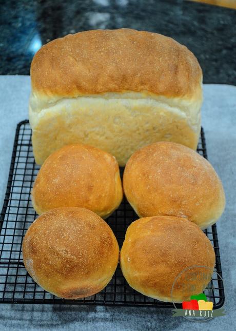 BOLLITOS DE PAN DE LECHE CON CHOCOLATE