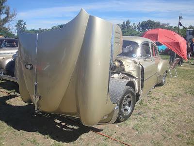 Las rarezas y curiosidades de Los Cardales