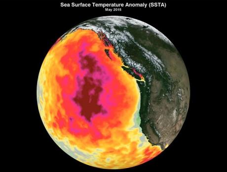 La NASA descubre enormes “Anomalías Térmicas” en el Océano Atlántico