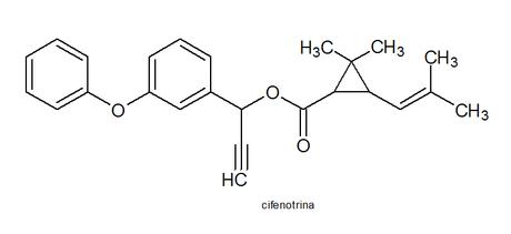 Cifenotrina y empentrina, dos nuevos biocidas evaluados por la ECHA